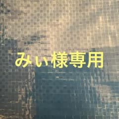 みぃ様専用のサムネイル