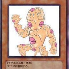 遊戯王 アカデミア様専用のサムネイル
