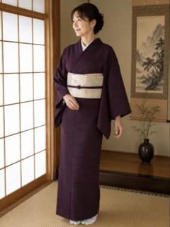 ウール着物 ˚✧⁎⁺˳✧༚ 小豆紫色単衣のサムネイル
