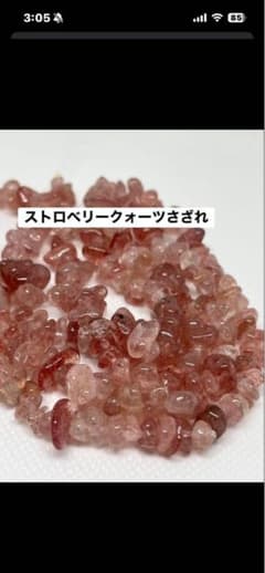 스트로베리 쿼츠 사자레련