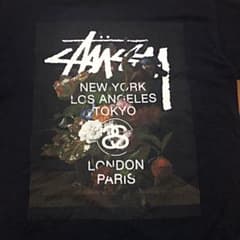 STUSSY Tシャツ  ステューシーのサムネイル