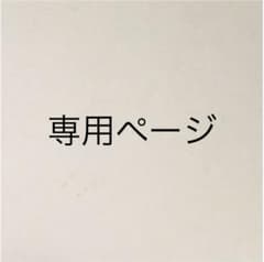 専用ページのサムネイル