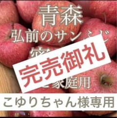 青森　りんご　蜜入　サンふじ　5キロのサムネイル