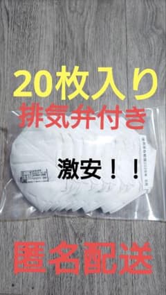 重松製作所 使い捨て式 防塵マスク DD02V-S2-2K 【排気弁付き】 - メルカリ