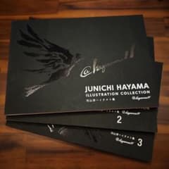 3冊セット】羽山淳一 イラスト集 画集 作品集 - メルカリ