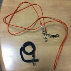 犬用ワイヤーリード　散歩用リードのサムネイル