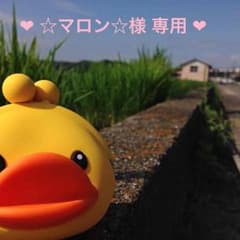 ❤︎☆マロン☆様専用 ❤︎のサムネイル