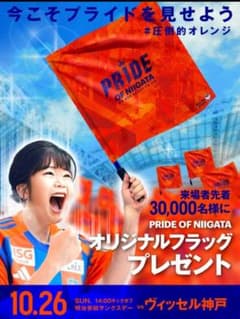 2本セット　アルビレックス オリジナルフラッグ(棒付き)のサムネイル