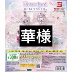ジュエルペット 華様のサムネイル