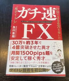 ガチ速FX 27分で256万を稼いだ"鬼デイトレ"のサムネイル