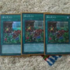 遊戯王　隣の芝刈り　3枚のサムネイル