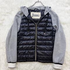 【極美品】HERNO ハイブリッドダウン パーカー 薄手 ジップアップ 42 極美品】HERNO ハイブリッドダウン パーカー 薄手 ジップアップ 42