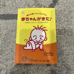 赤ちゃんがきた！育児本のサムネイル