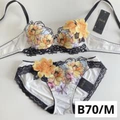 サルート チリ B70/M IV 63 P-upブラ ノーマルショーツ - メルカリ