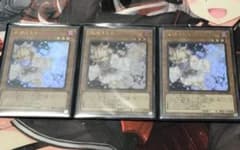 遊戯王 灰流うらら　ウルトラ　3枚セットのサムネイル