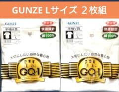 【GUNZE】半袖 V首 Lサイズ 2枚 綿100% グンゼ 快適 肌着 男性のサムネイル