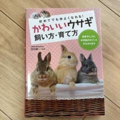 かわいいウサギ飼い方・育て方 : 初めてでも仲よくなれる!のサムネイル