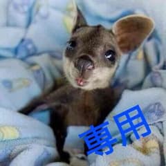 さとうさん専用のサムネイル