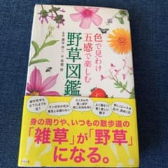 色で見わけ五感で楽しむ野草図鑑のサムネイル
