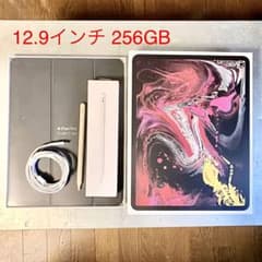 ipad pro 12.9インチ Wi-Fi 256GB スペースグレーのサムネイル