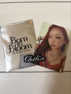 Born to Bloom 1st TOUR 2026 Chika トレカのサムネイル