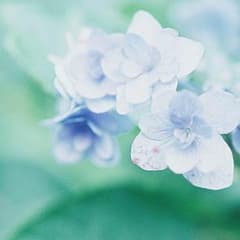 ゆうさん専用のサムネイル