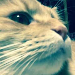 さっちゃんさん専用のサムネイル