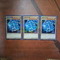 遊戯王 青眼の白龍 SDKS-JP009 ノーパラ3枚セット