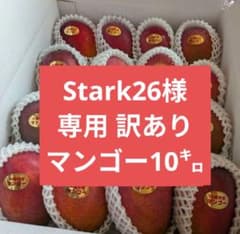 Stark26 訳ありマンゴー10㌔ Stark26様専用 訳ありマンゴー10㌔ - メルカリ