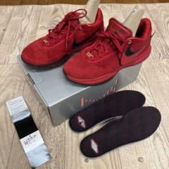 NIKE レブロン20 EP リヴァプール　27cmのサムネイル