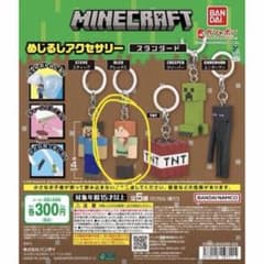 Minecraft めじるしアクセサリー アレックスのサムネイル