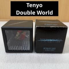 Tenyo テンヨー ダブルワールド キューブ ふしぎな不思議な2つの世界 