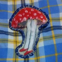 毒キノコのブローチのサムネイル