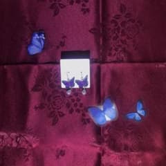 【無くなり次第終了】あくねこの「夜に出てくる蝶」をイメージしたピアスのサムネイル