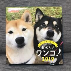 【新品、未使用】日めくりワンコ、日めくりカレンダー2019年のサムネイル