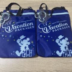 【新品未使用】ディズニー バケーションパッケージ ショルダーバッグのサムネイル