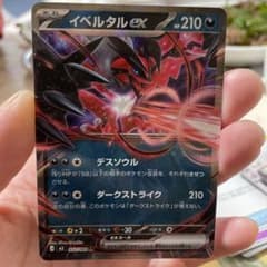 Pokémon Card Yveltal EX 052/080 RR