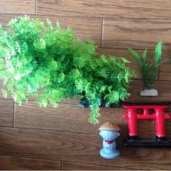 水草セットのサムネイル