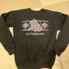 LOGO ATHLETIC GATLINBURG スウェット　ブラック　US古着のサムネイル