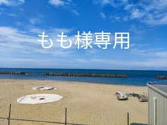 もも様専用のサムネイル