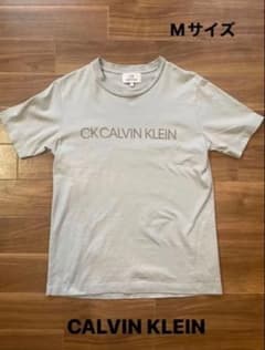 Calvin Klein カルバンクラインメンズTシャツ Mグレーのサムネイル