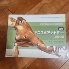 図解YOGAアナトミー筋骨格編のサムネイル