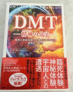 DMT 精神の分子 リック・ストラスマン著のサムネイル