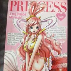 ワンピース プリンセス ノートのサムネイル