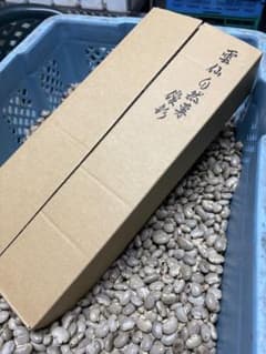 八升豆 ムクナ豆 1500グラム 健康食品 スーパーフード 血圧 認知症