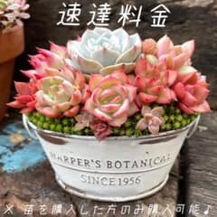 速達料金のサムネイル