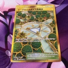 ポケモンカードゲーム エーテルパラダイス保護区 URのサムネイル