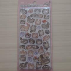 正規品　クーリア　マヌルネコ　BONBON DROP 透明シール 動物のサムネイル