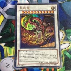 遊戯王 スギちゃん様専用のサムネイル