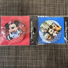 東京ディズニーリゾート イマジニングザマジック缶バッジ 2種セット